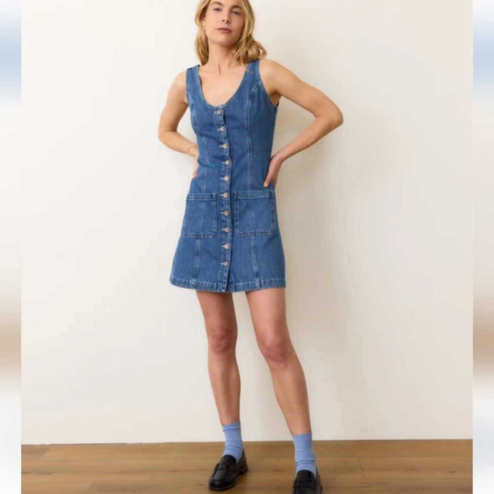 Marine Layer Blue Denim Button-Front Mini Dress
